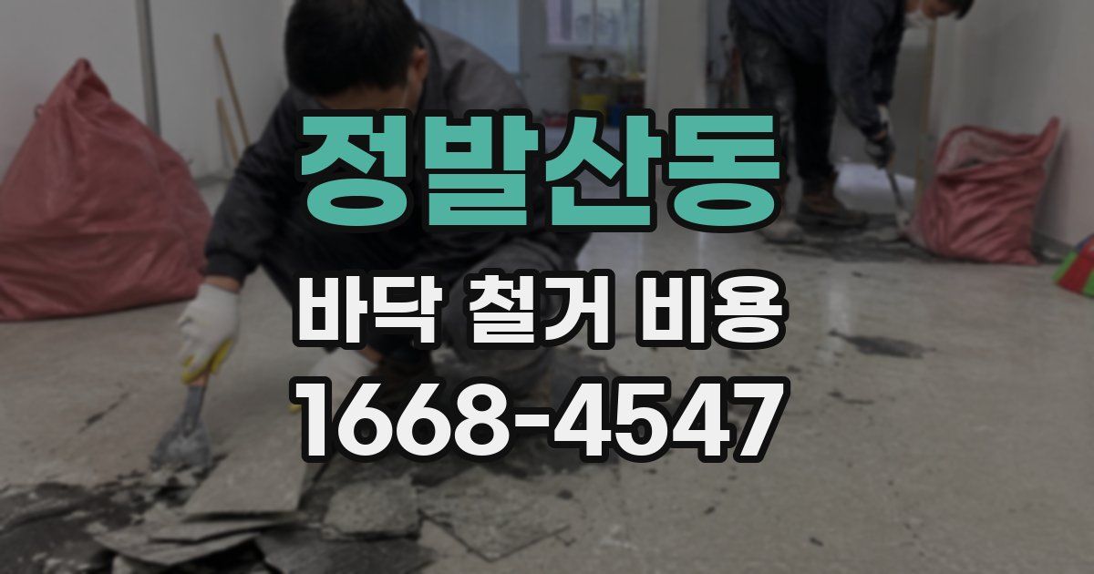 정발산동 바닥 철거 비용