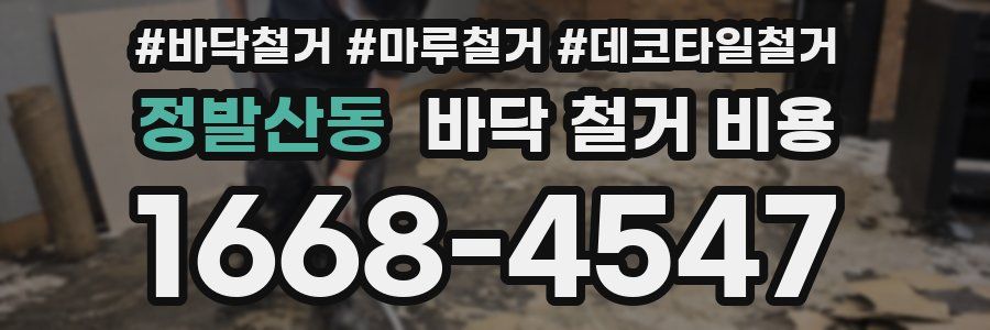 정발산동 바닥 철거 비용