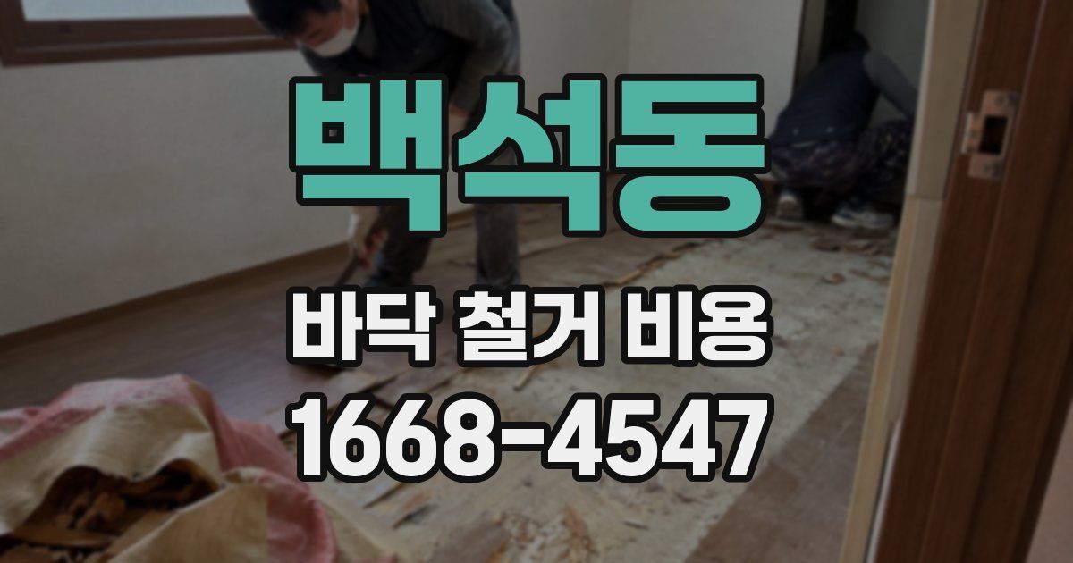 백석동 바닥 철거 비용