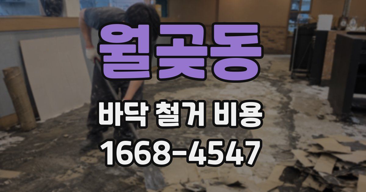 월곶동 바닥 철거 비용