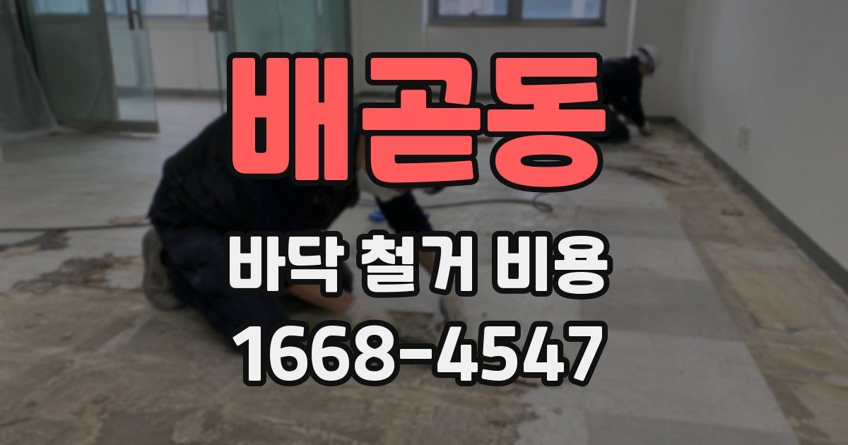 배곧동 바닥 철거 비용
