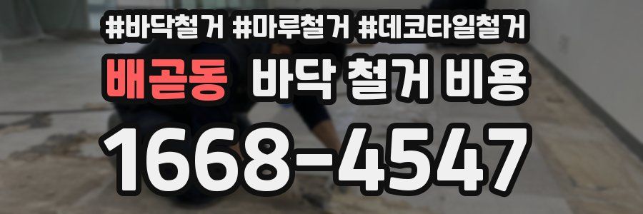 배곧동 바닥 철거 비용