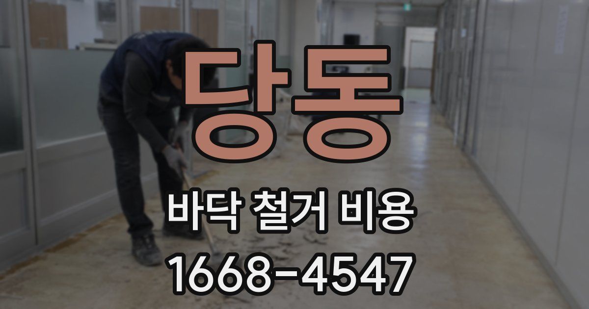 당동 바닥 철거 비용