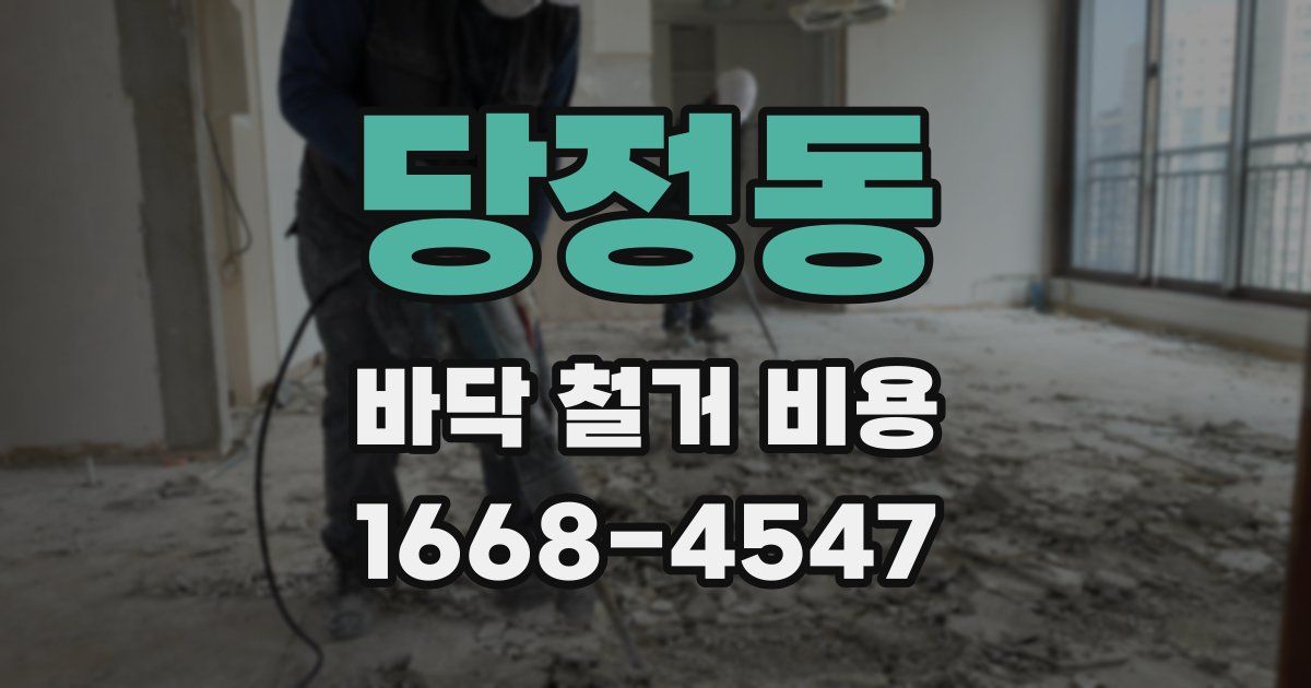 당정동 바닥 철거 비용