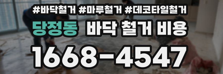 당정동 바닥 철거 비용