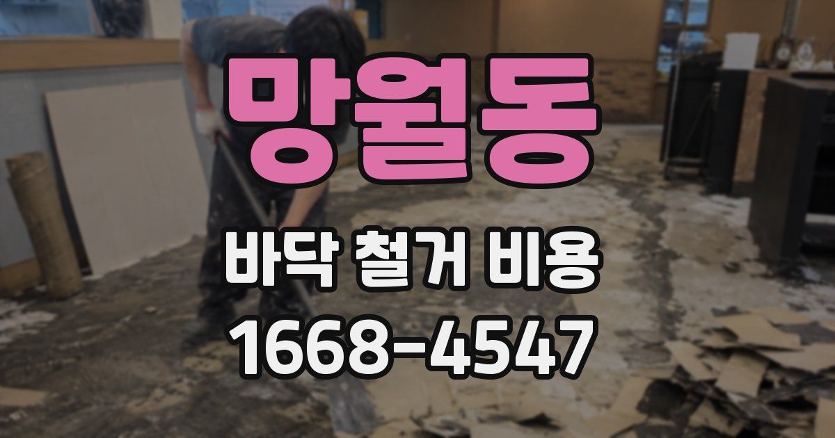 망월동 바닥 철거 비용