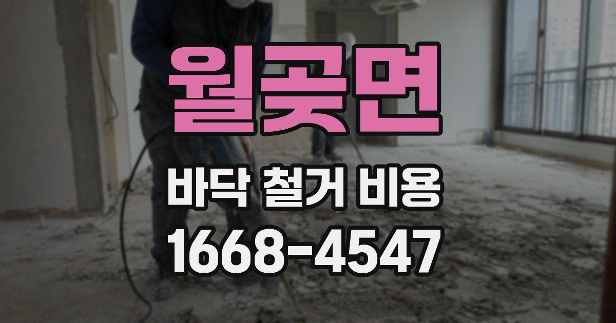 월곶면 바닥 철거 비용