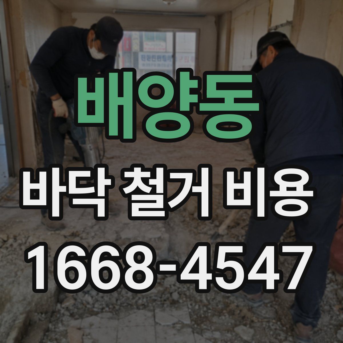 배양동 바닥 철거 비용