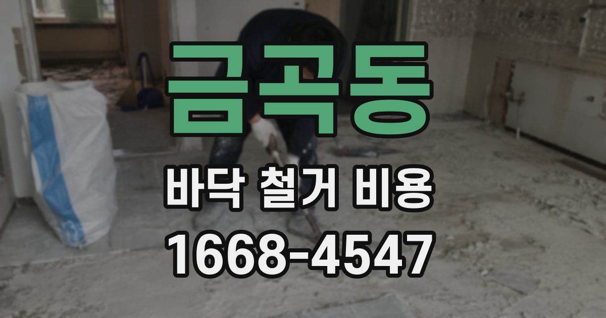 금곡동 바닥 철거 비용