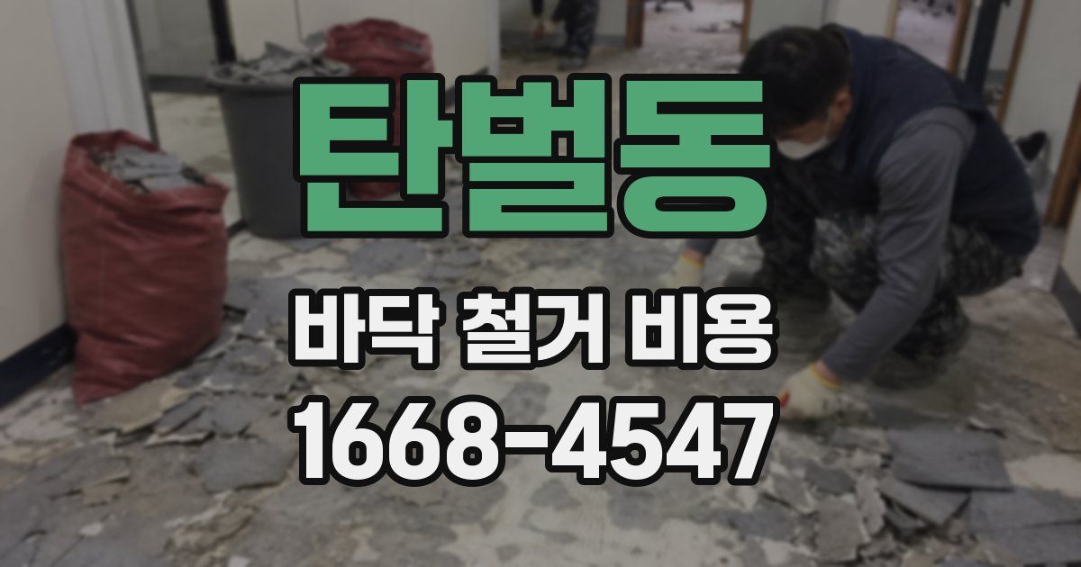 탄벌동 바닥 철거 비용