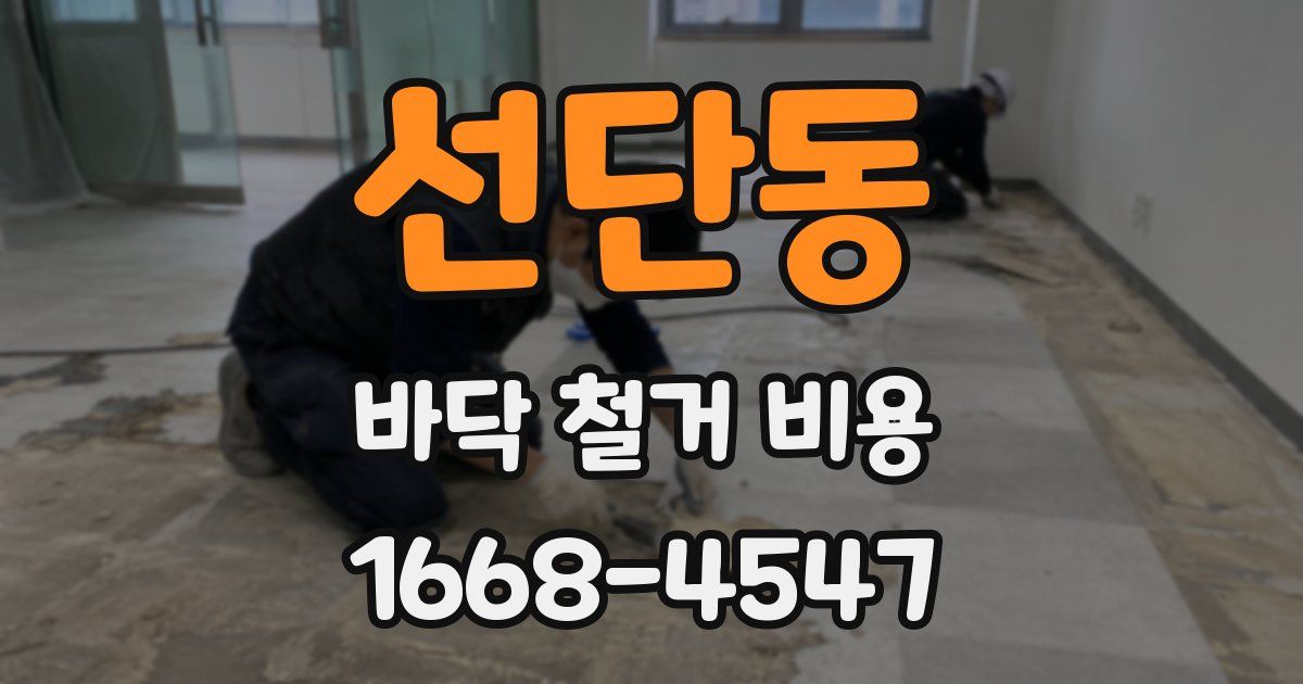 선단동 바닥 철거 비용