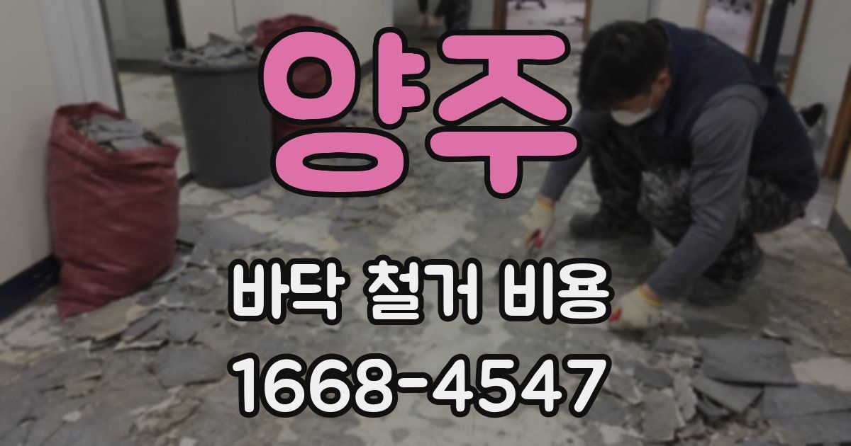 양주 바닥 철거 비용