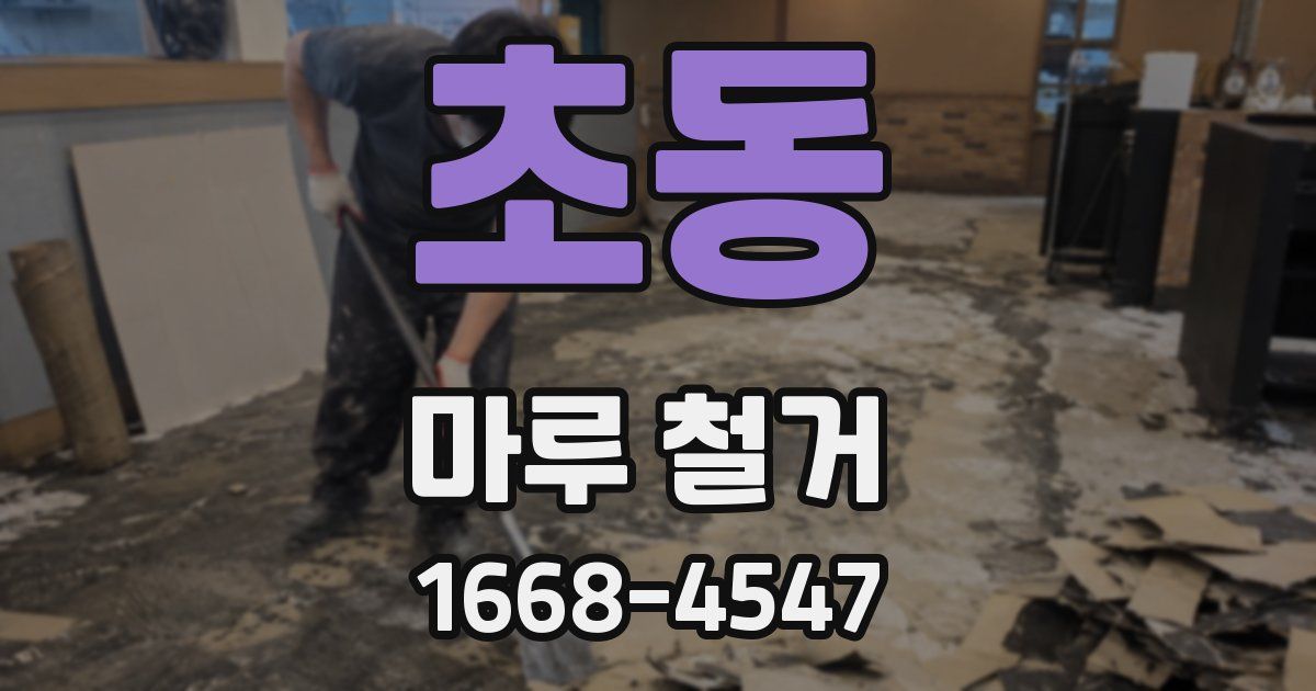 초동 마루 철거