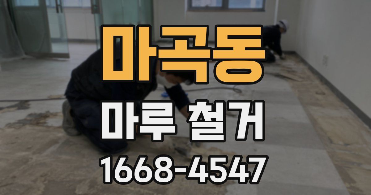 마곡동 마루 철거