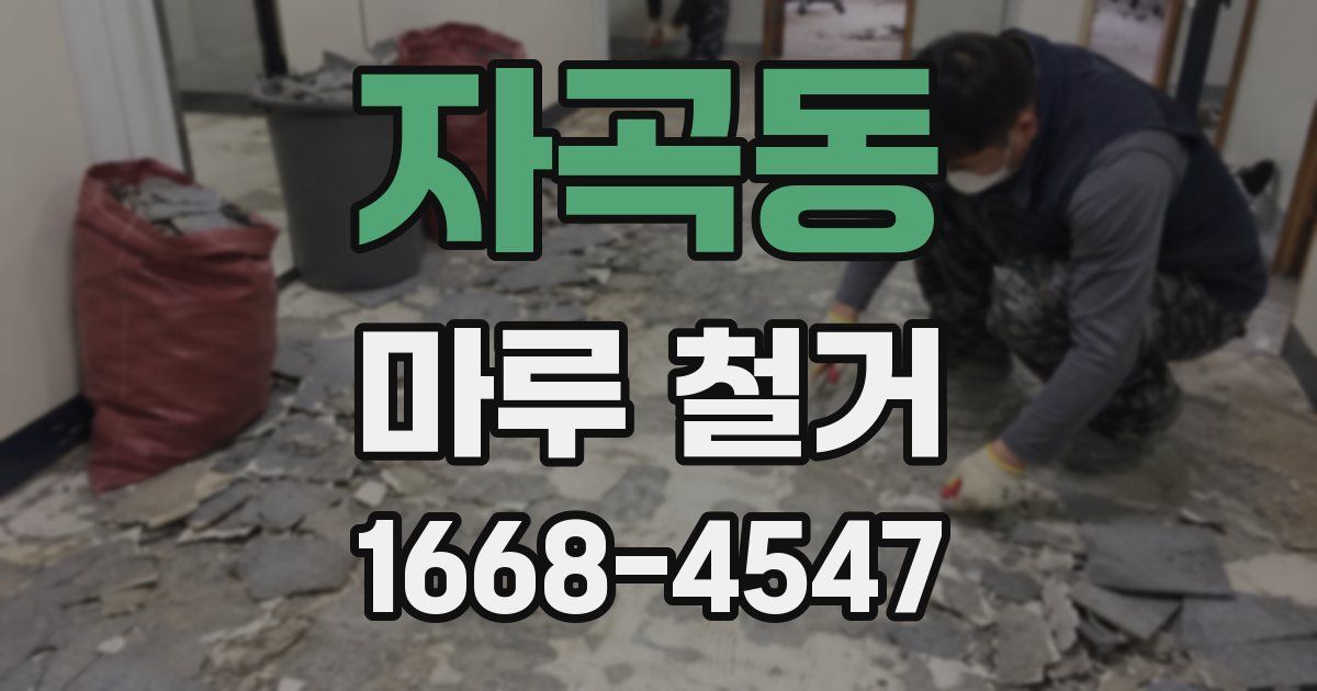 자곡동 마루 철거