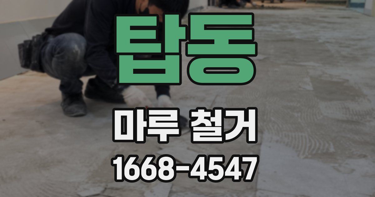탑동 마루 철거