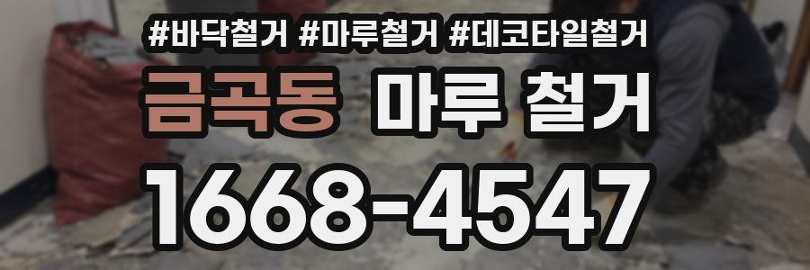 금곡동 마루 철거