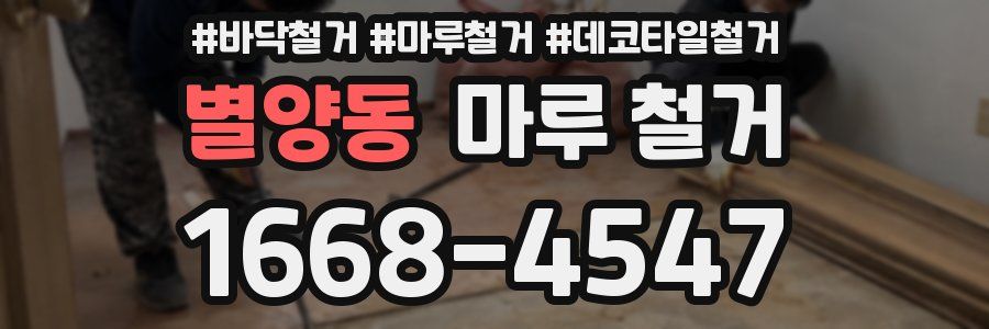 별양동 마루 철거