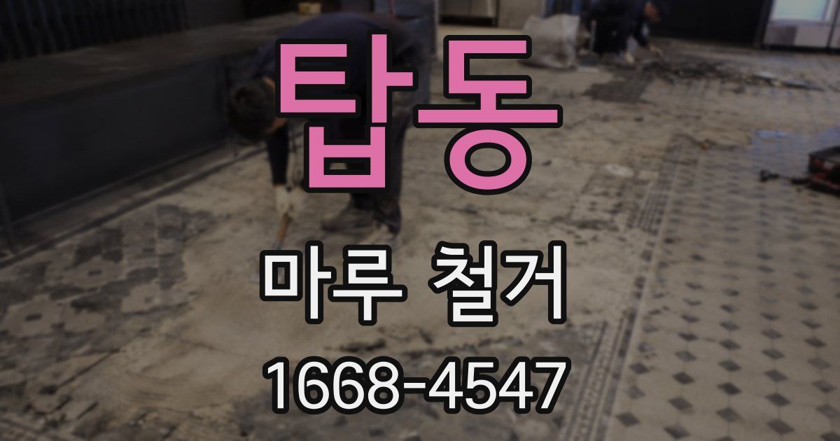 탑동 마루 철거