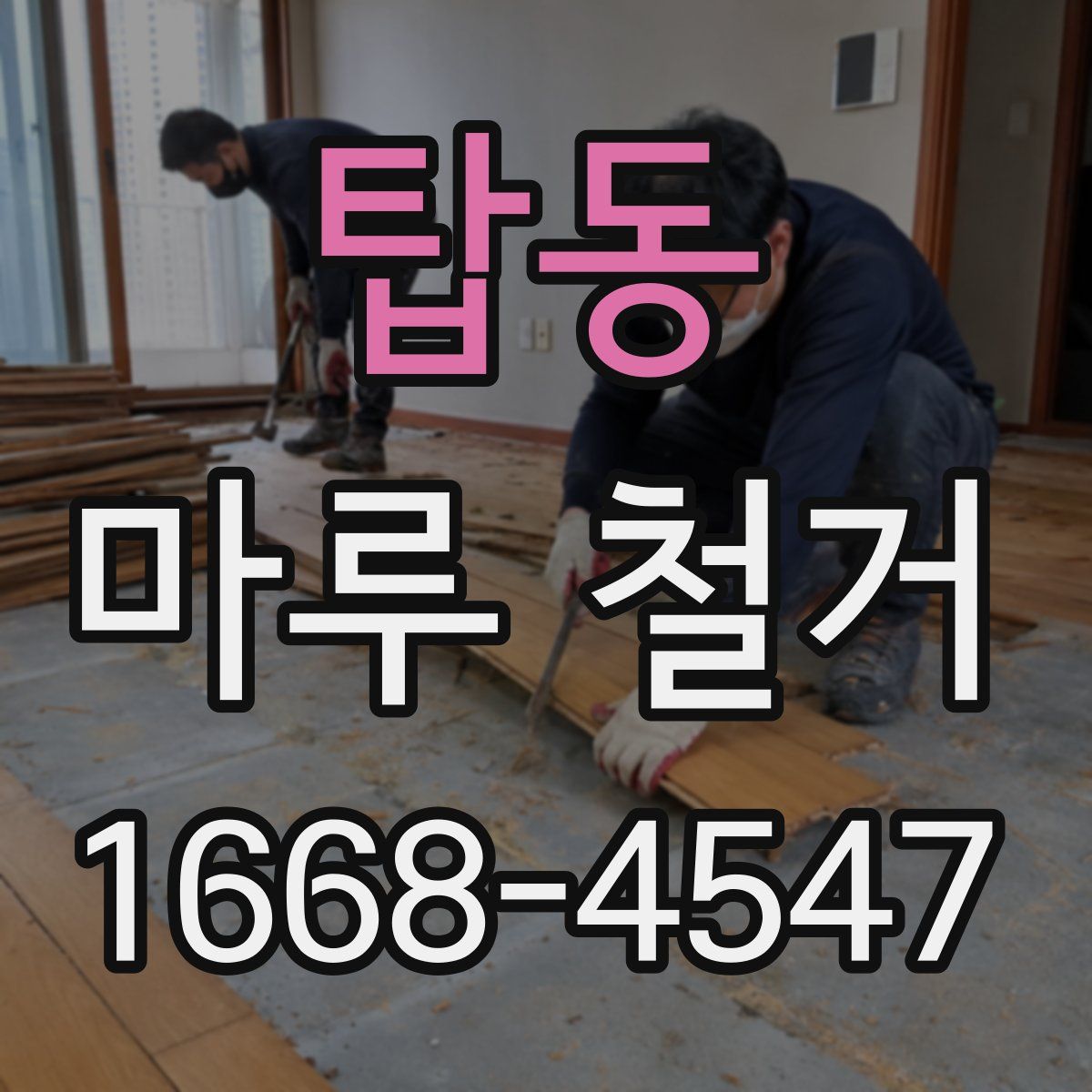 탑동 마루 철거