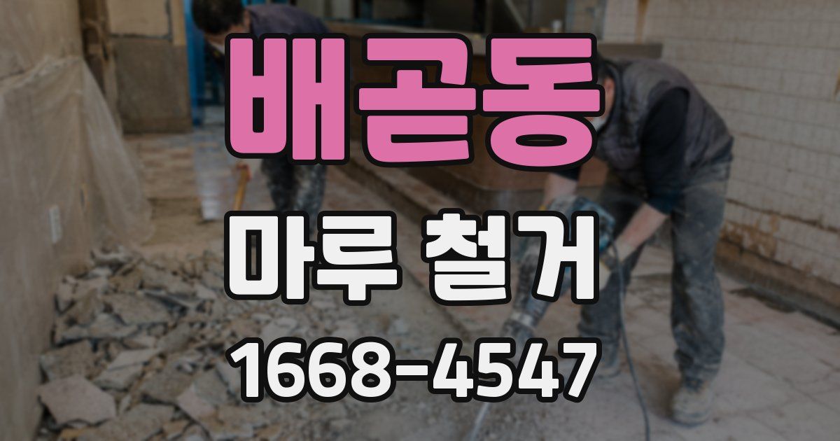 배곧동 마루 철거