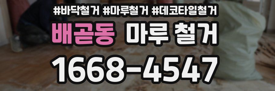 배곧동 마루 철거