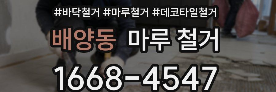 배양동 마루 철거
