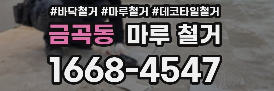 금곡동 마루 철거