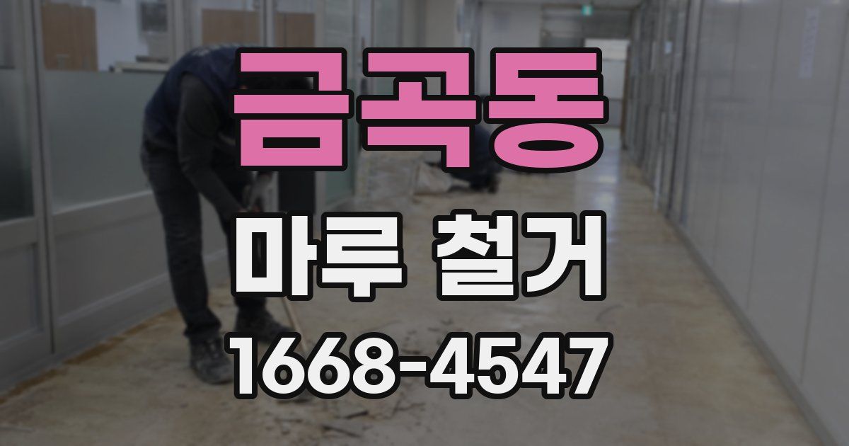 금곡동 마루 철거