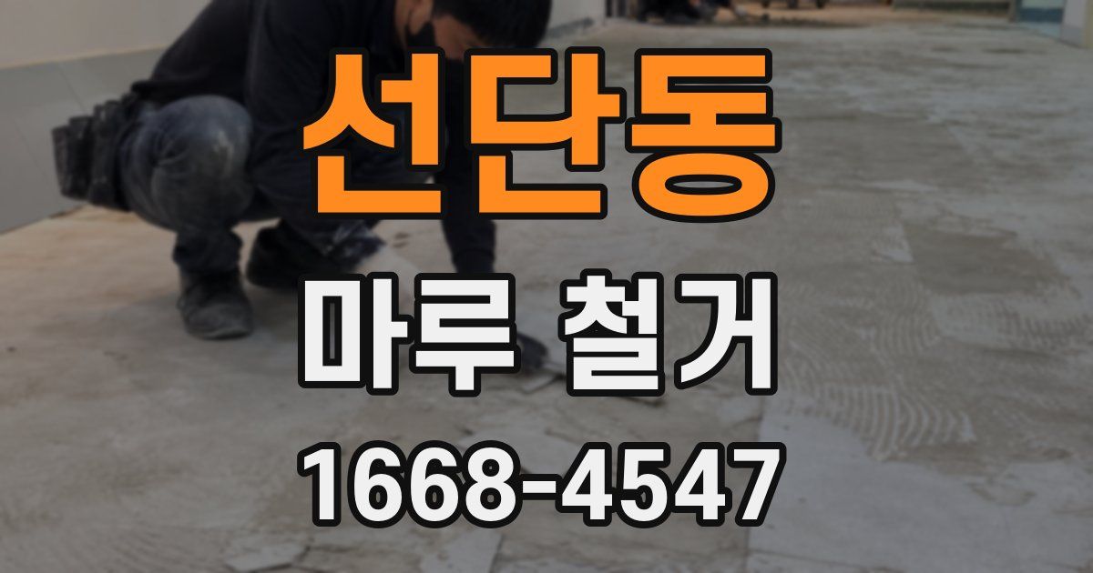 선단동 마루 철거
