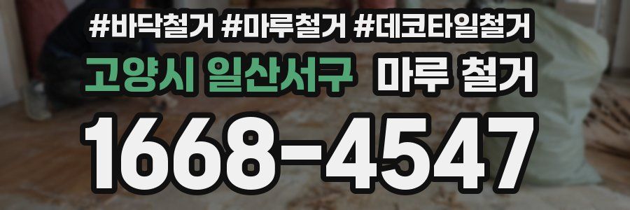 고양시 일산서구 마루 철거