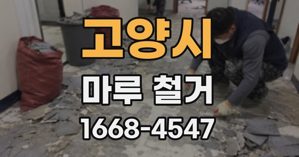 고양시 마루 철거