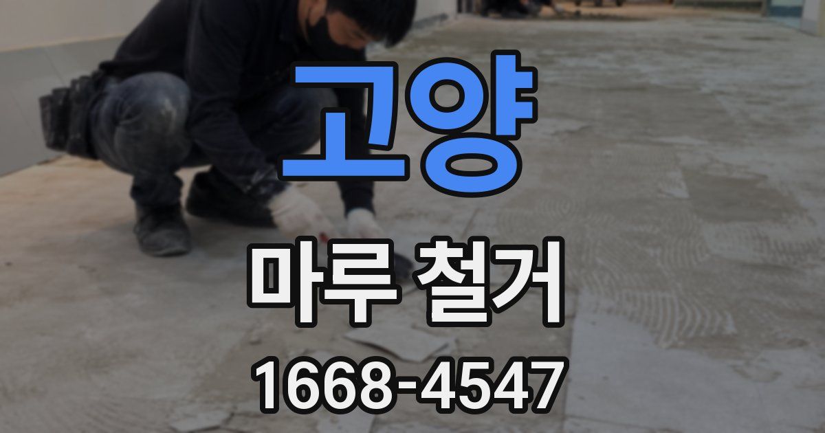 고양 마루 철거