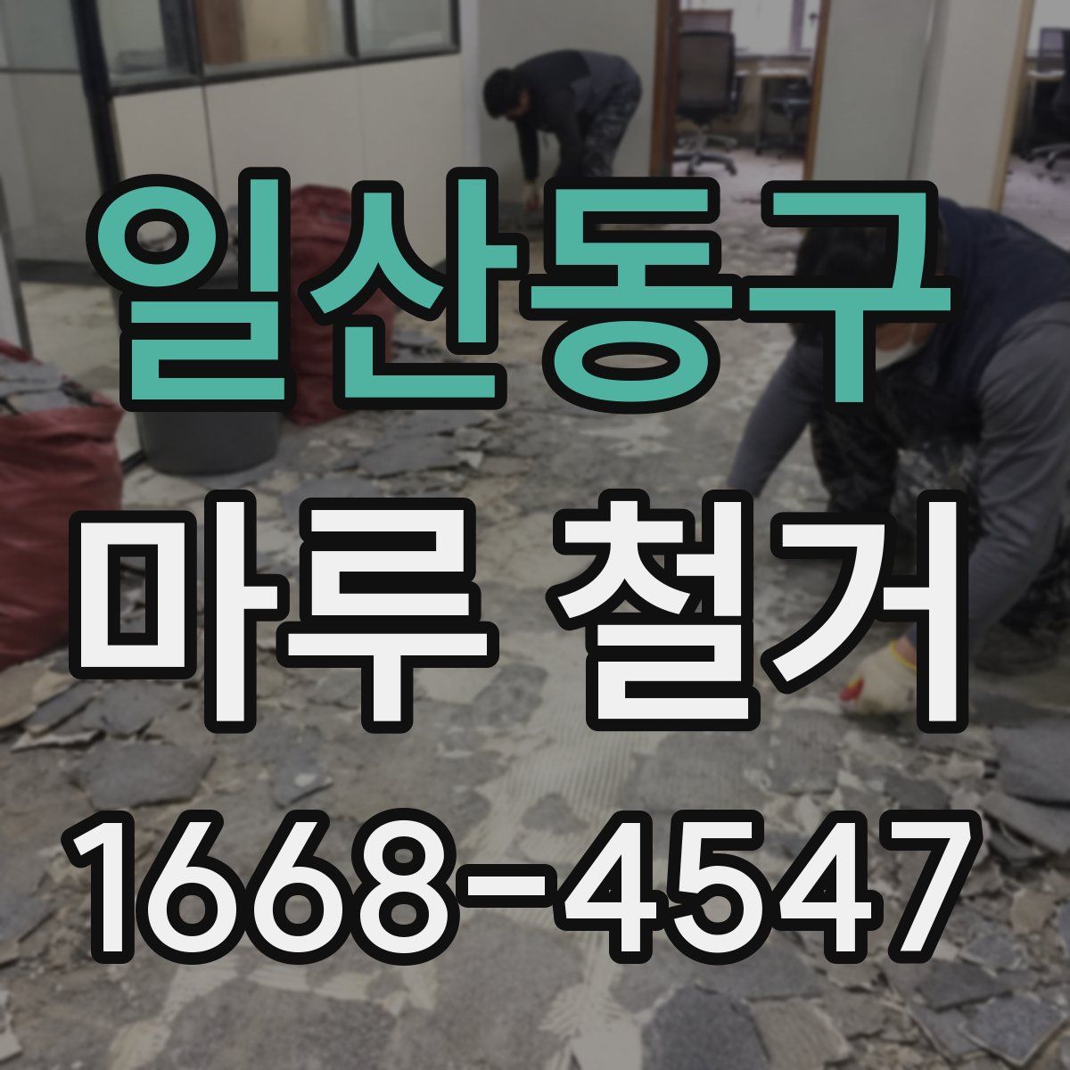 일산동구 마루 철거