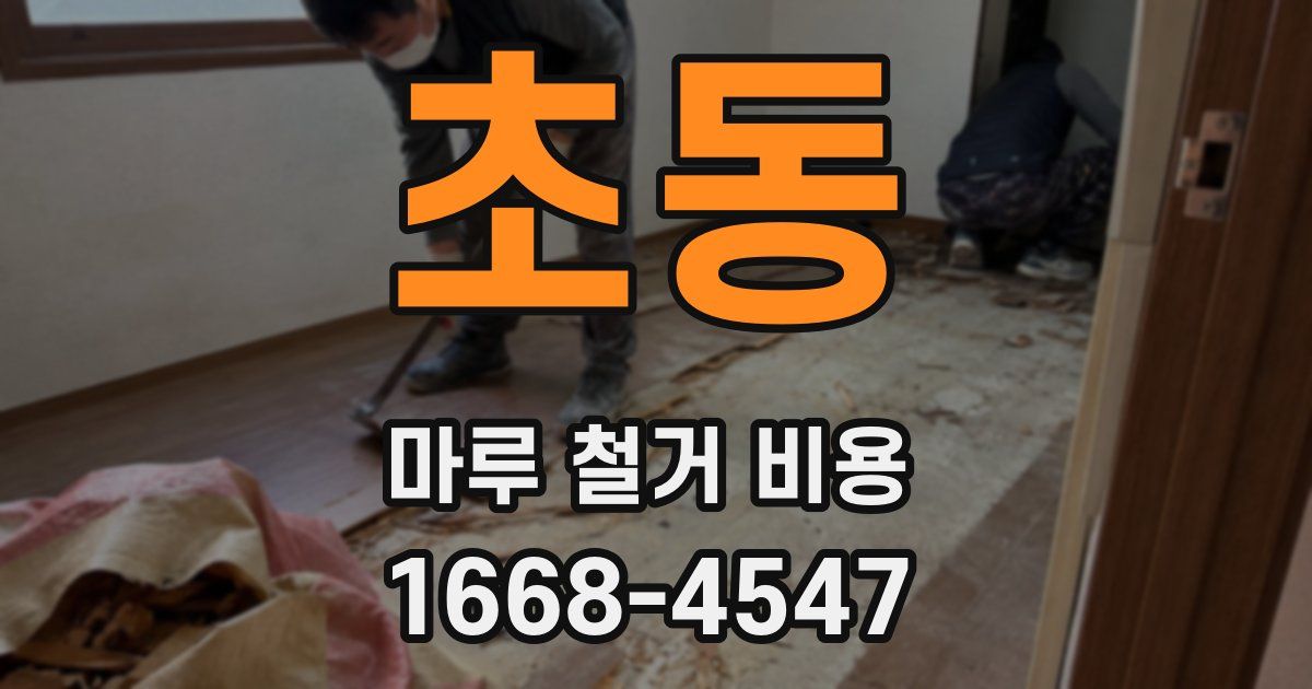 초동 마루 철거 비용