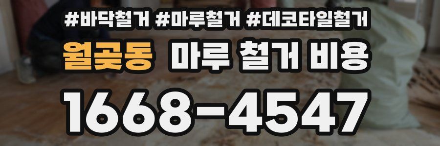 월곶동 마루 철거 비용