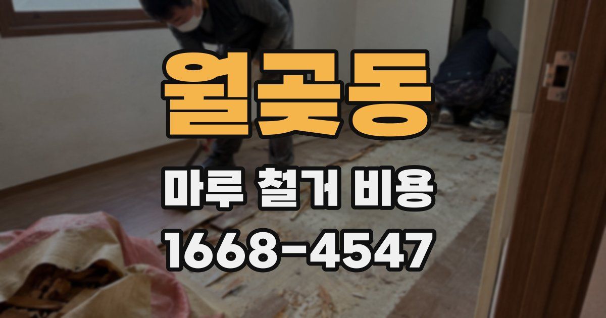 월곶동 마루 철거 비용