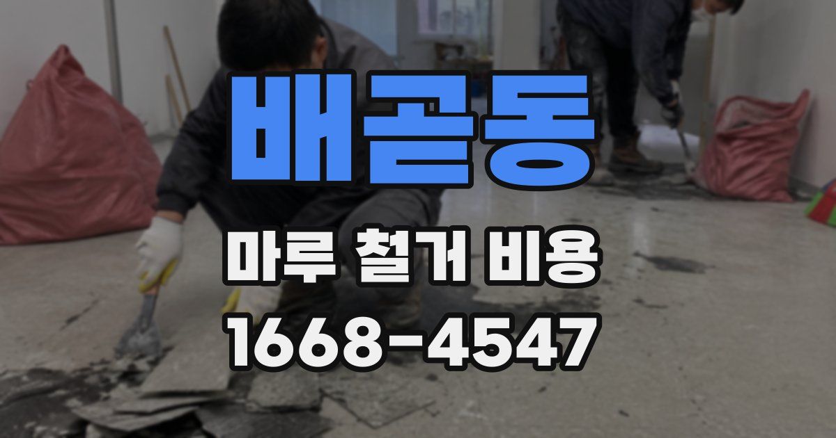 배곧동 마루 철거 비용