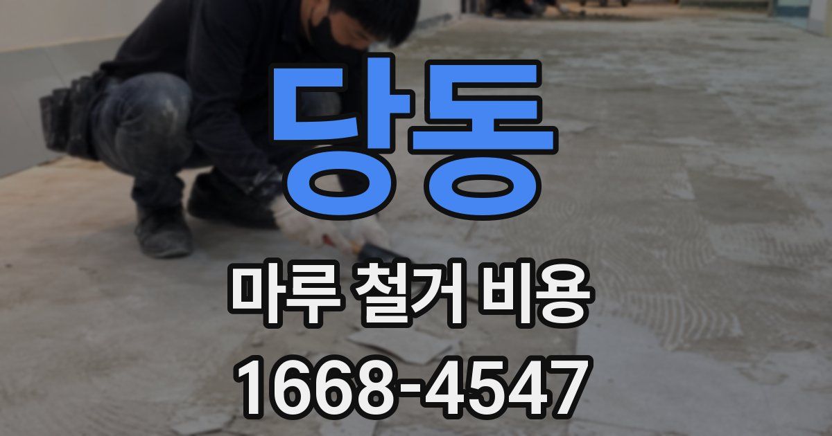 당동 마루 철거 비용