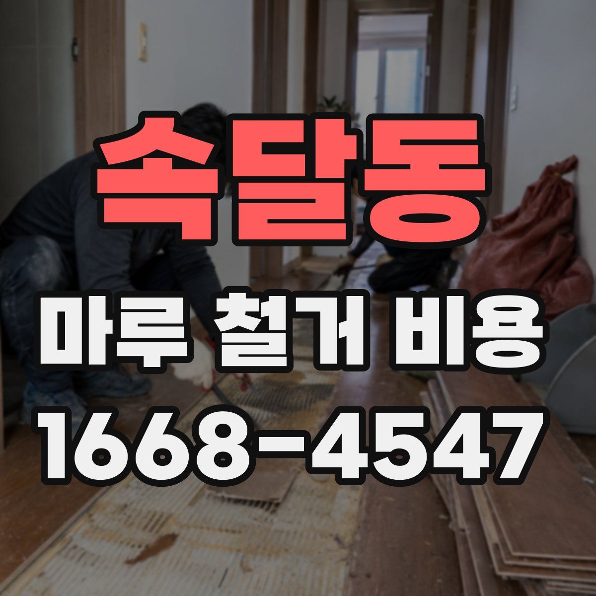 속달동 마루 철거 비용