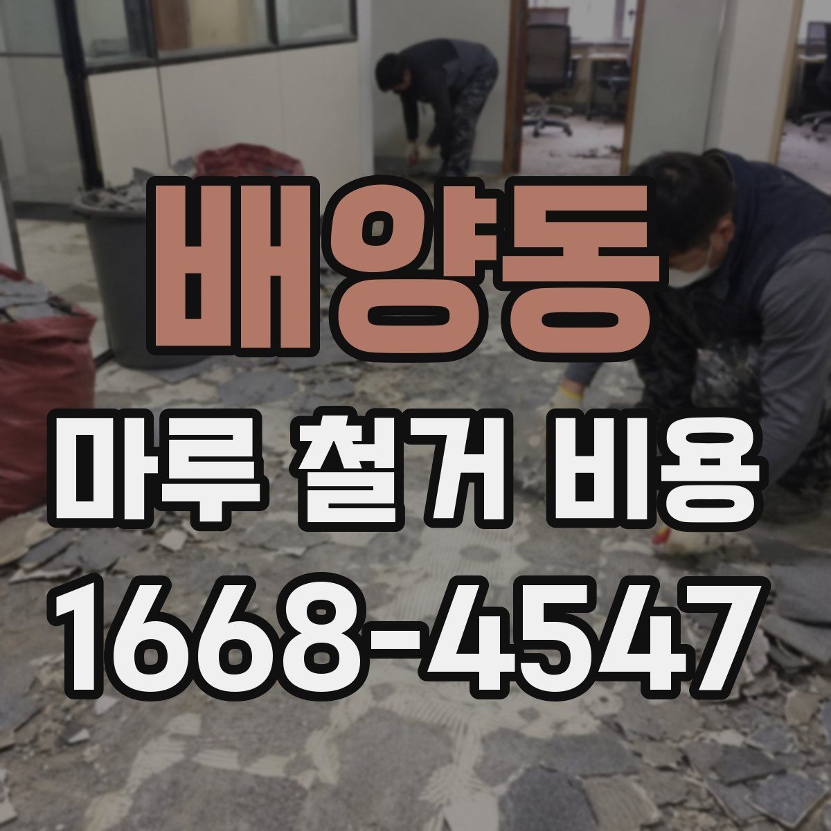 배양동 마루 철거 비용 비교할 때 꼭 확인할 기준