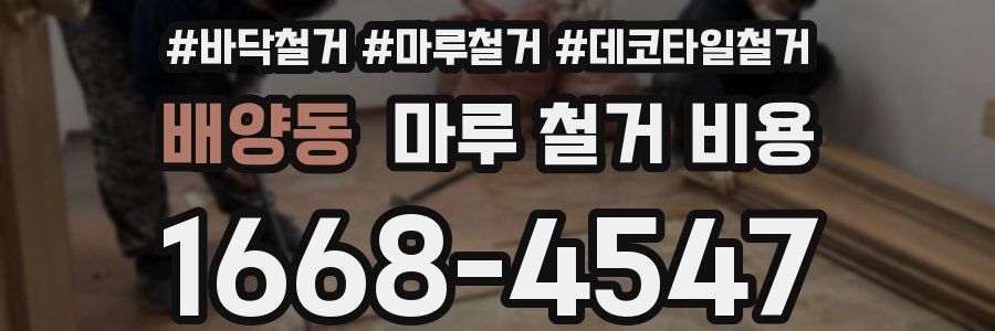 배양동 마루 철거 비용