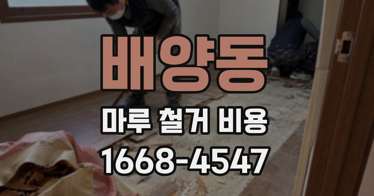 배양동 마루 철거 비용