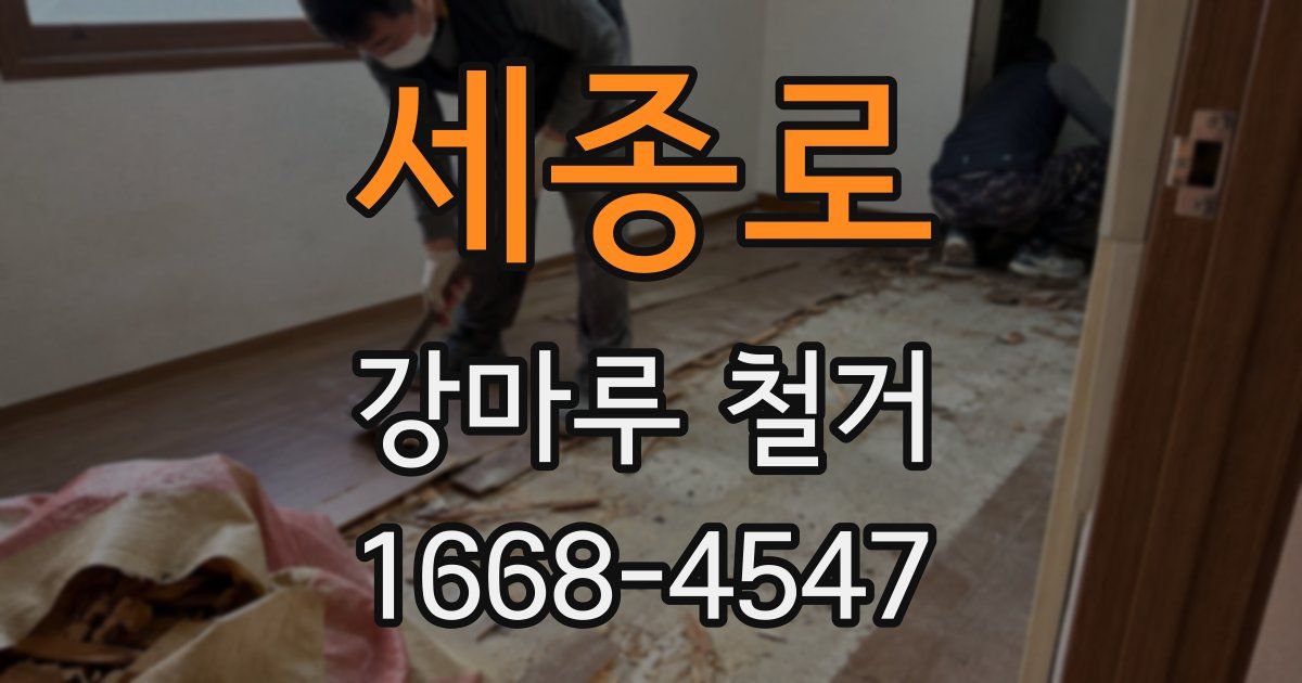 세종로 강마루 철거