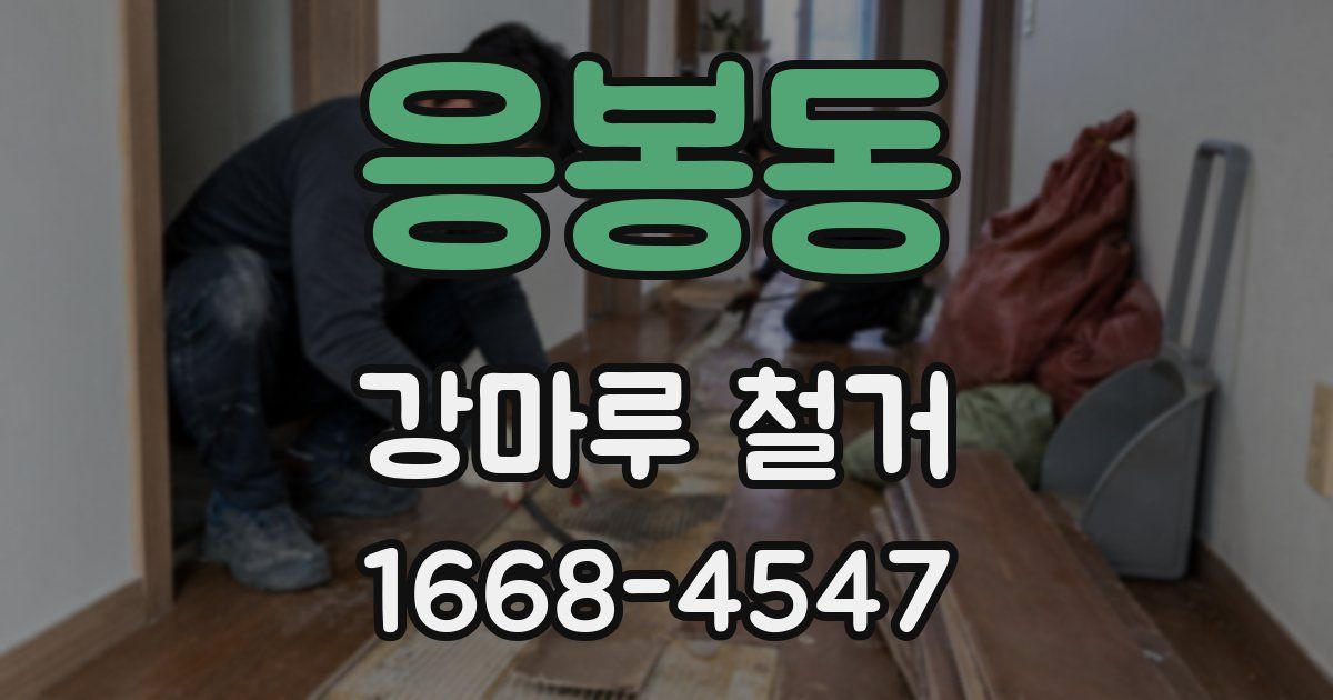응봉동 강마루 철거