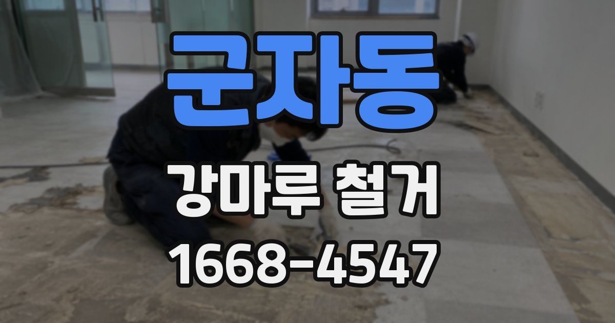 군자동 강마루 철거
