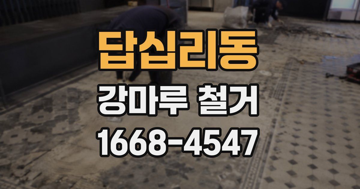 답십리동 강마루 철거