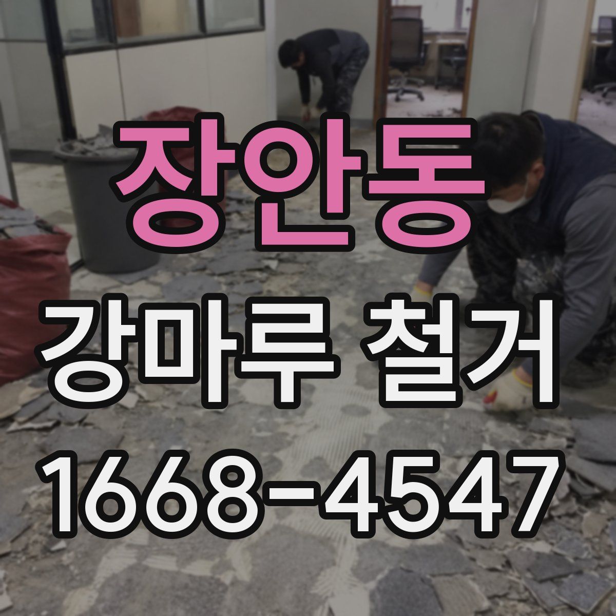 장안동 강마루 철거