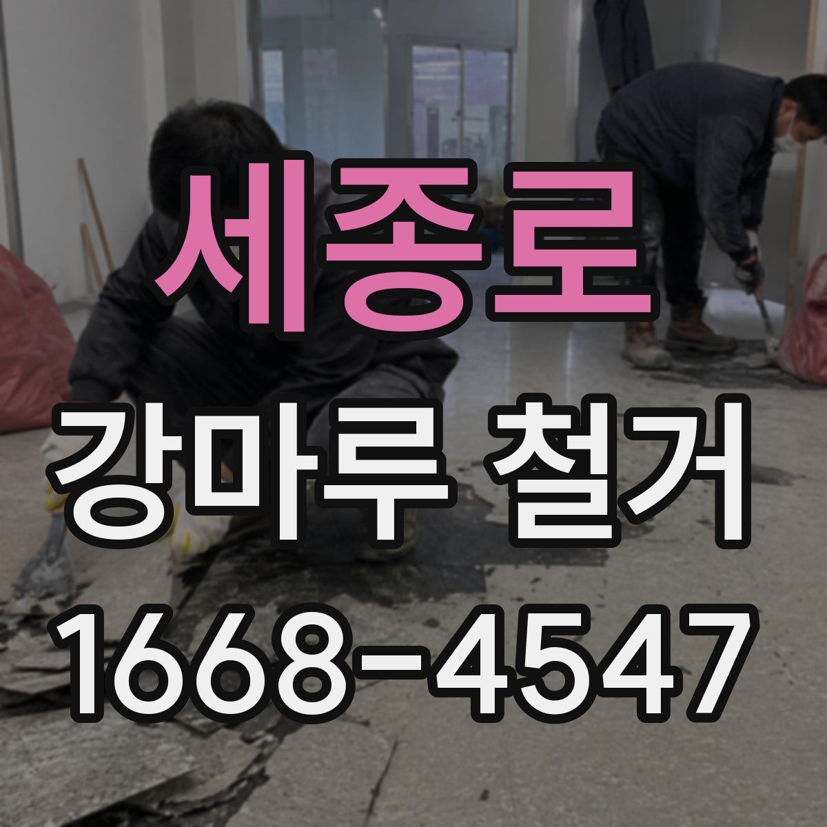세종로 강마루 철거