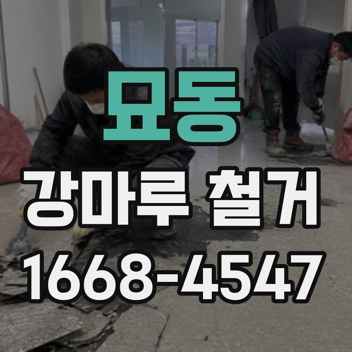 묘동 강마루 철거
